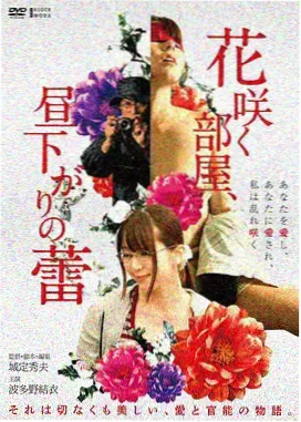城市漫游同城匹配房间封面